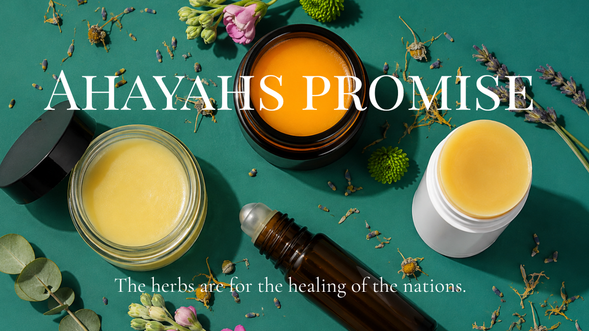 A styled flat-lay of skincare products on a teal background with dried herbs. Visible items include a dark amber bottle with a silver rollerball, an open amber jar with yellow-orange balm, a white jar with pale yellow balm, and a black-lidded jar.